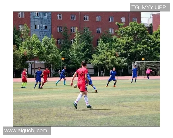 杭州排球队边路渗透战术解析与应用研究 杭州排球队边路渗透战术解析与应用研究