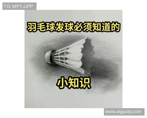 从零开始：羽毛球团队协作完全攻略