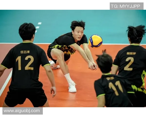 最新排球状态TOP10：重庆排球队领跑