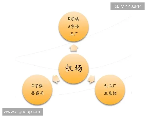 独家分析：北京乒乓球队的团队协作对比