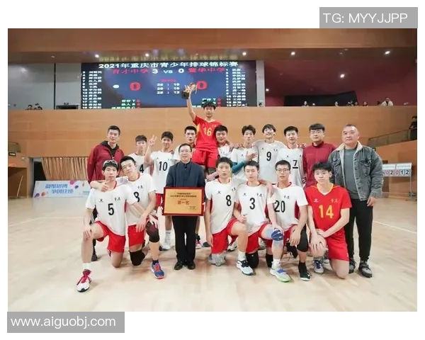 2026排球个人能力排行榜：重庆排球队位居第1名