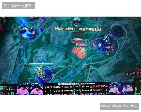 职业联赛点评：IG的技术表现