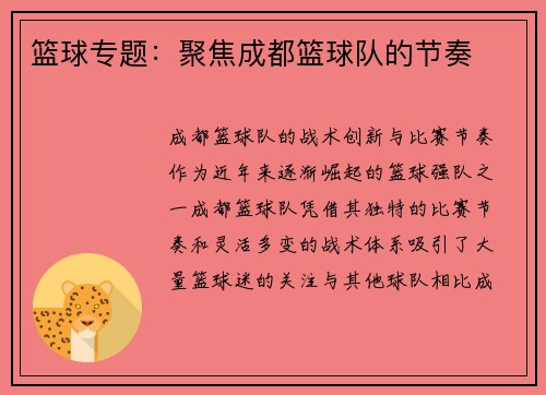 篮球专题：聚焦成都篮球队的节奏