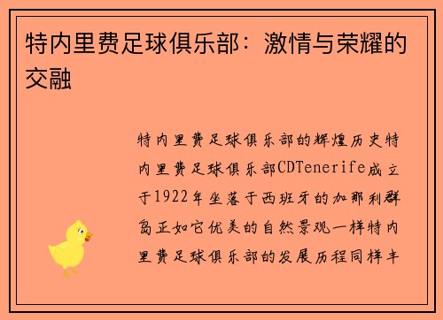 特内里费足球俱乐部：激情与荣耀的交融