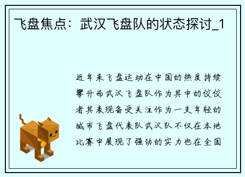飞盘焦点：武汉飞盘队的状态探讨_1